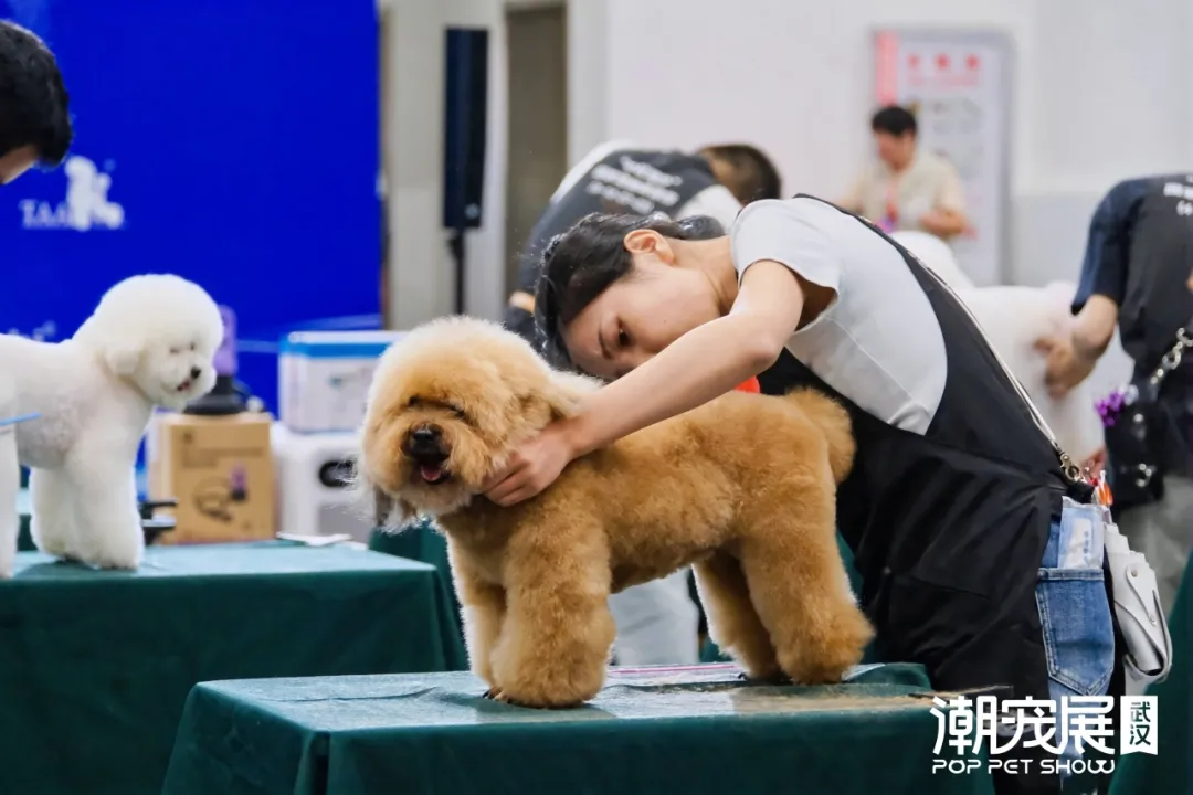 官宣：武汉国际潮宠展正式升级为宠贸会！