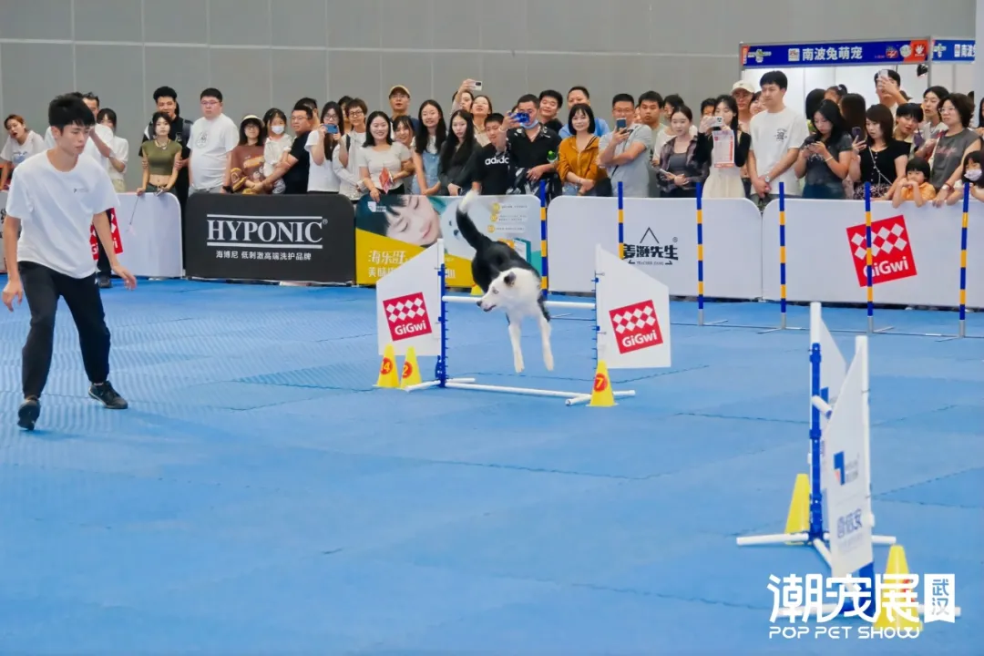 官宣：武汉国际潮宠展正式升级为宠贸会！