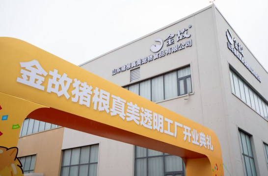破解宠粮信任危机！中国首个透明工厂开启宠物食品全民监督时代