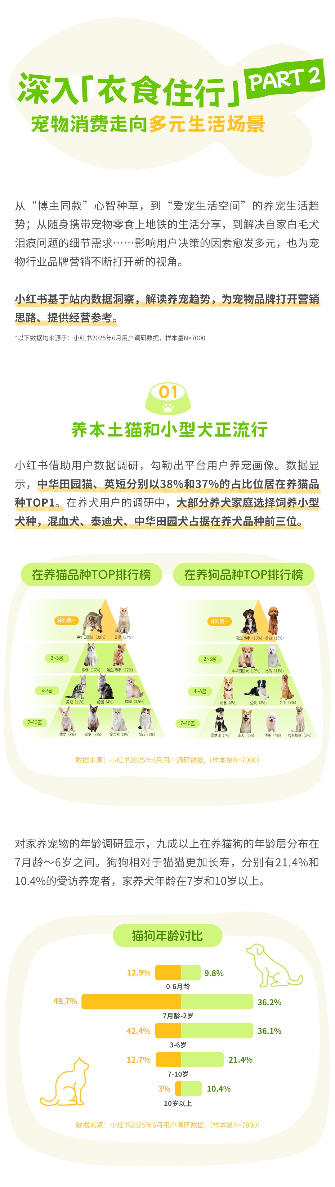 解读宠物经营新思路 小红书以种草点亮“宠”爱生机