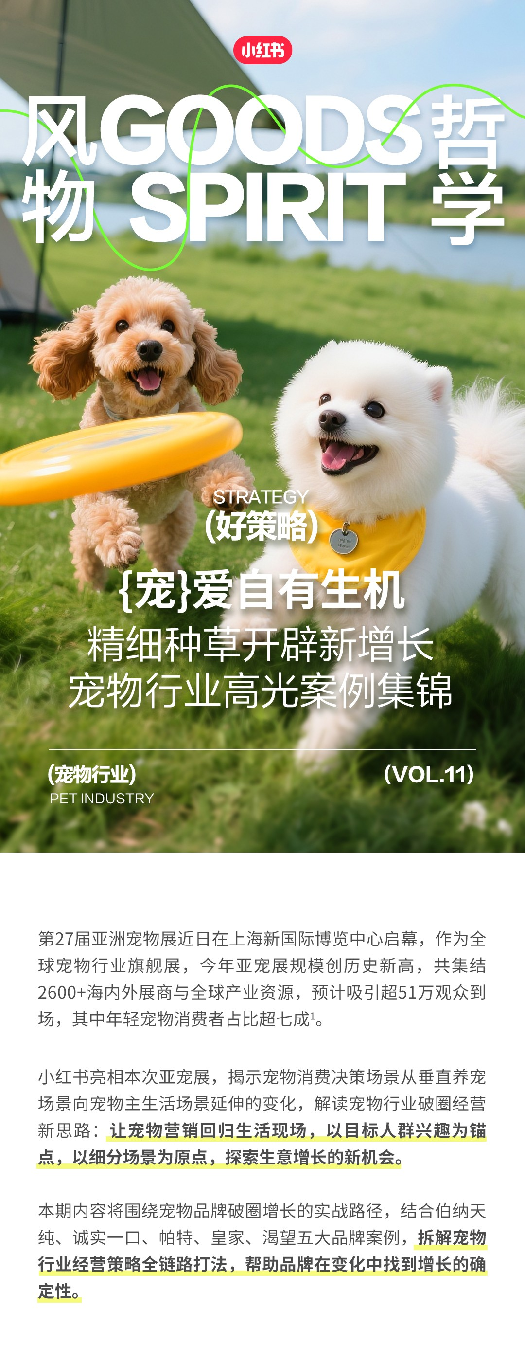 精细种草开辟新增长，小红书宠物行业高光案例集锦