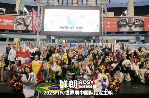 连续两年成为指定主粮，鲜朗以「新鲜营养」护航中国猫咪问鼎国际赛场