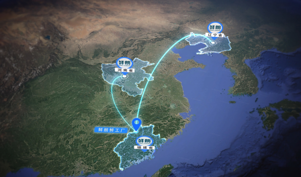连续两年成为指定主粮，鲜朗以「新鲜营养」护航中国猫咪问鼎国际赛场