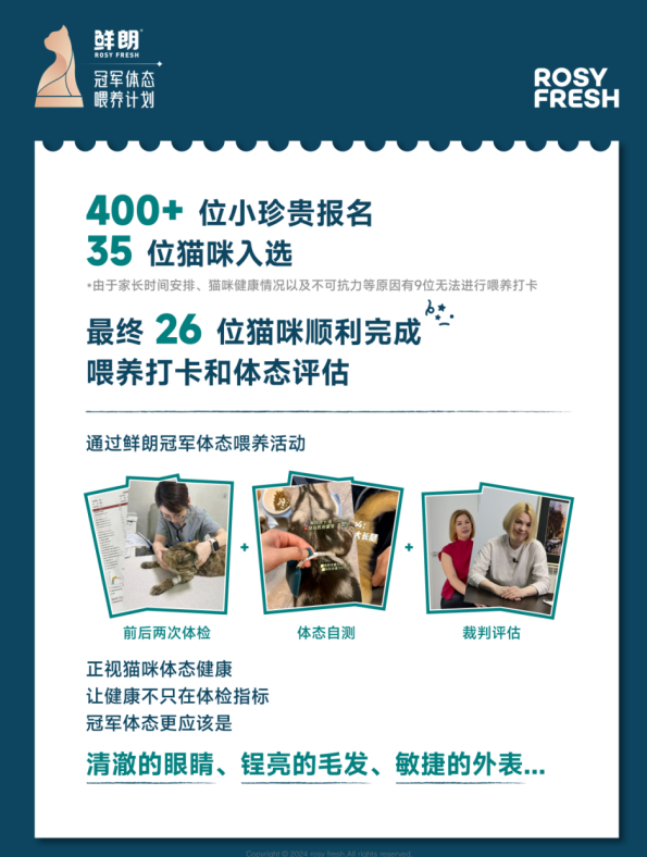 连续两年成为指定主粮，鲜朗以「新鲜营养」护航中国猫咪问鼎国际赛场