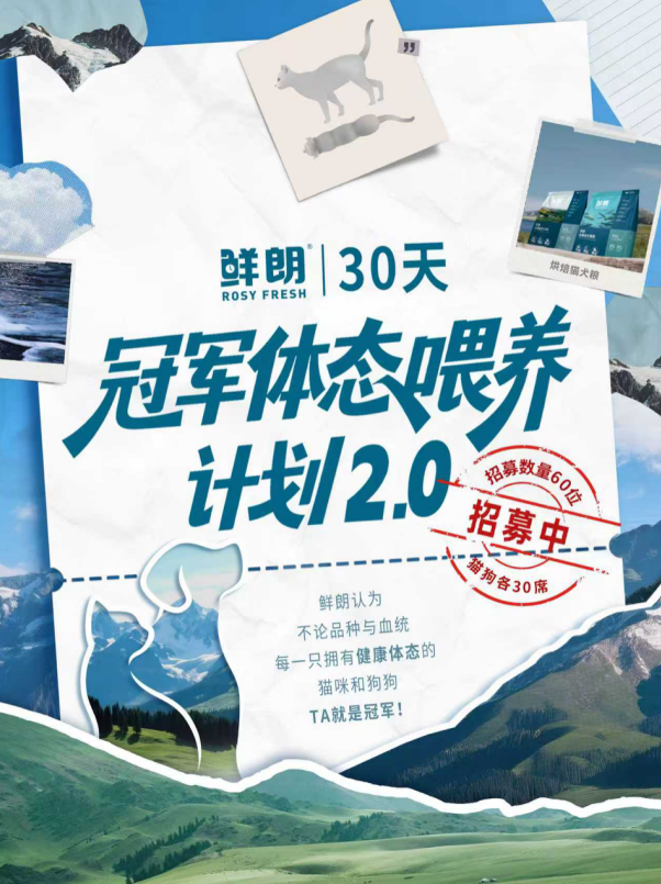 连续两年成为指定主粮，鲜朗以「新鲜营养」护航中国猫咪问鼎国际赛场