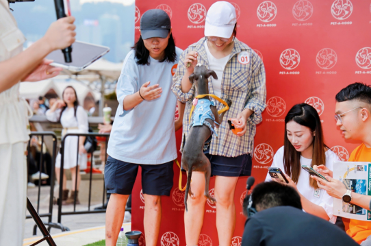 狗狗现场“打电话”？PetPhone【宠宠Pet疯Call】引爆香港，科技消除“跨物种数字鸿沟”