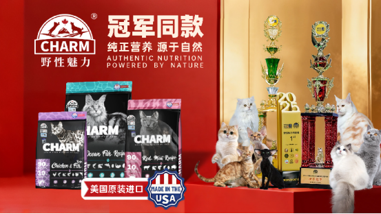 黄海之滨的喵星盛宴：四天狂欢定格CHARM野性魅力新高度