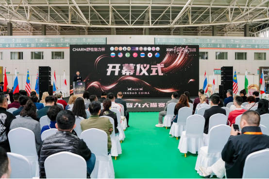 黄海之滨的喵星盛宴：四天狂欢定格CHARM野性魅力新高度