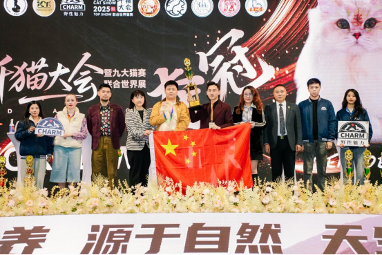 黄海之滨的喵星盛宴：四天狂欢定格CHARM野性魅力新高度