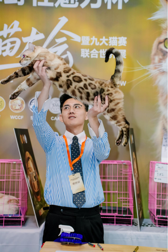 黄海之滨的喵星盛宴：四天狂欢定格CHARM野性魅力新高度