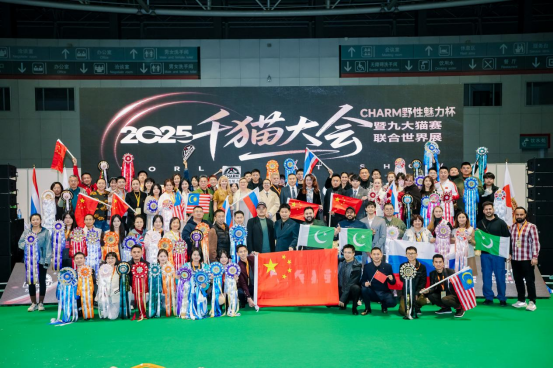 黄海之滨的喵星盛宴：四天狂欢定格CHARM野性魅力新高度