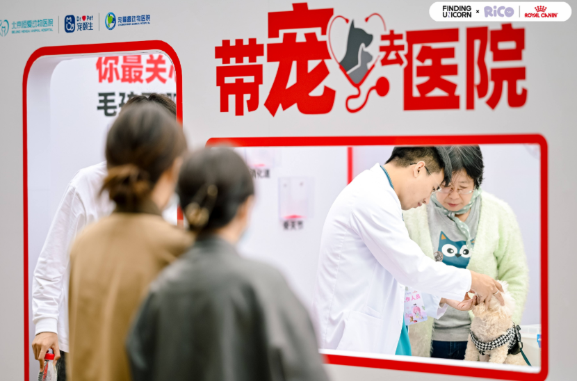 皇家宠物食品“带宠去医院”八载同行:以专业之力守护健康,以科学之心延续陪伴