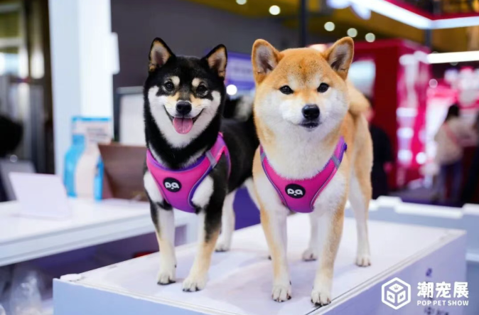 宠业当燃,缺你不可! 九大“燃点”,引爆2026增长核心圈层