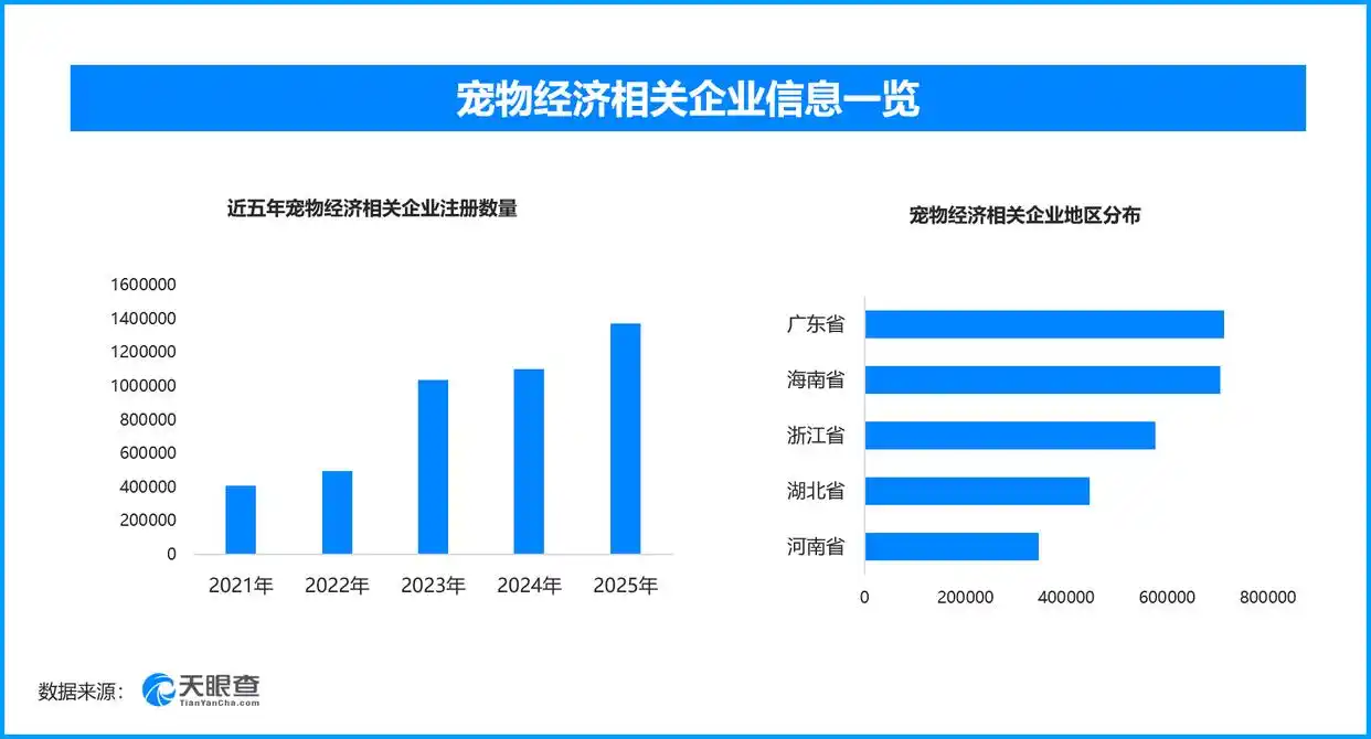 宠物街区激活消费新场景 现存宠物经济相关企业近560万家