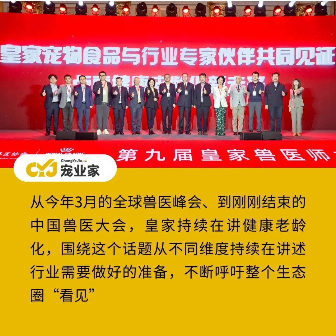 从救火到管一辈子:宠物老龄化正在改写医院的服务逻辑