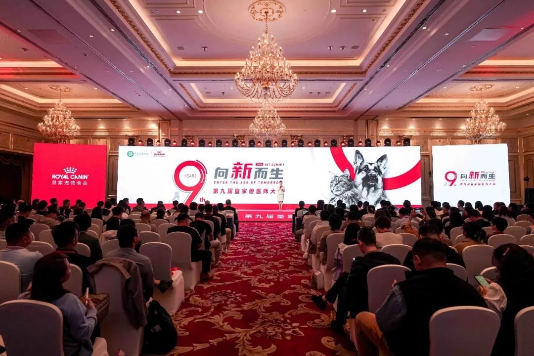 从救火到管一辈子：宠物老龄化正在改写医院的服务逻辑