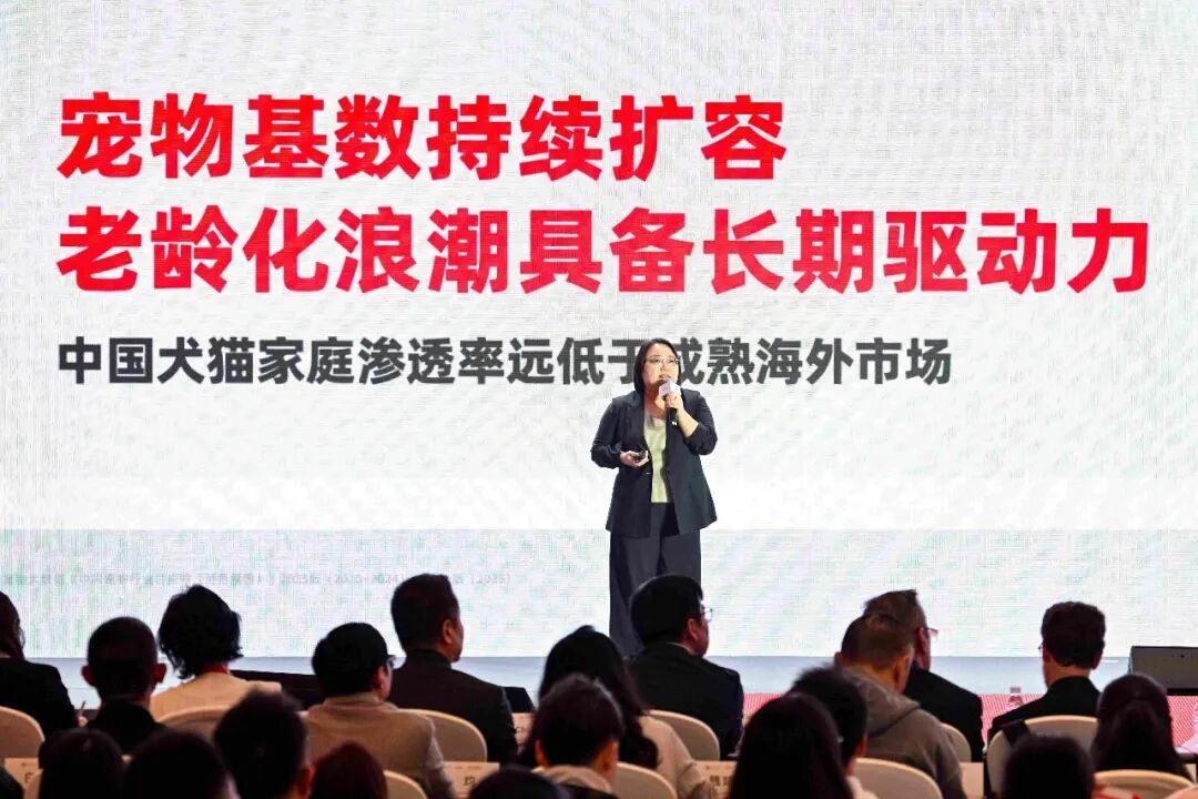 从救火到管一辈子：宠物老龄化正在改写医院的服务逻辑