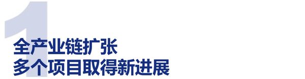 一年40个宠物制造项目落地,产能消化压力浮现